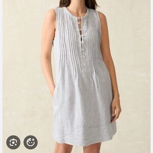 FAHERTY Isha Dress in Blue Mini Stripe